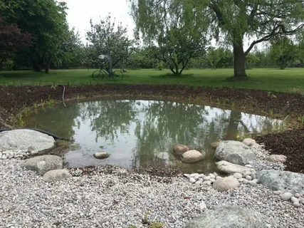 Keeping Your Garden Pond Fresh and Healthy in Kent