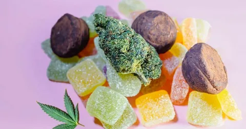 THC Gummies: A Sweet and Convenient Cannabis Experience in Canada